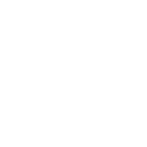 fingerprint